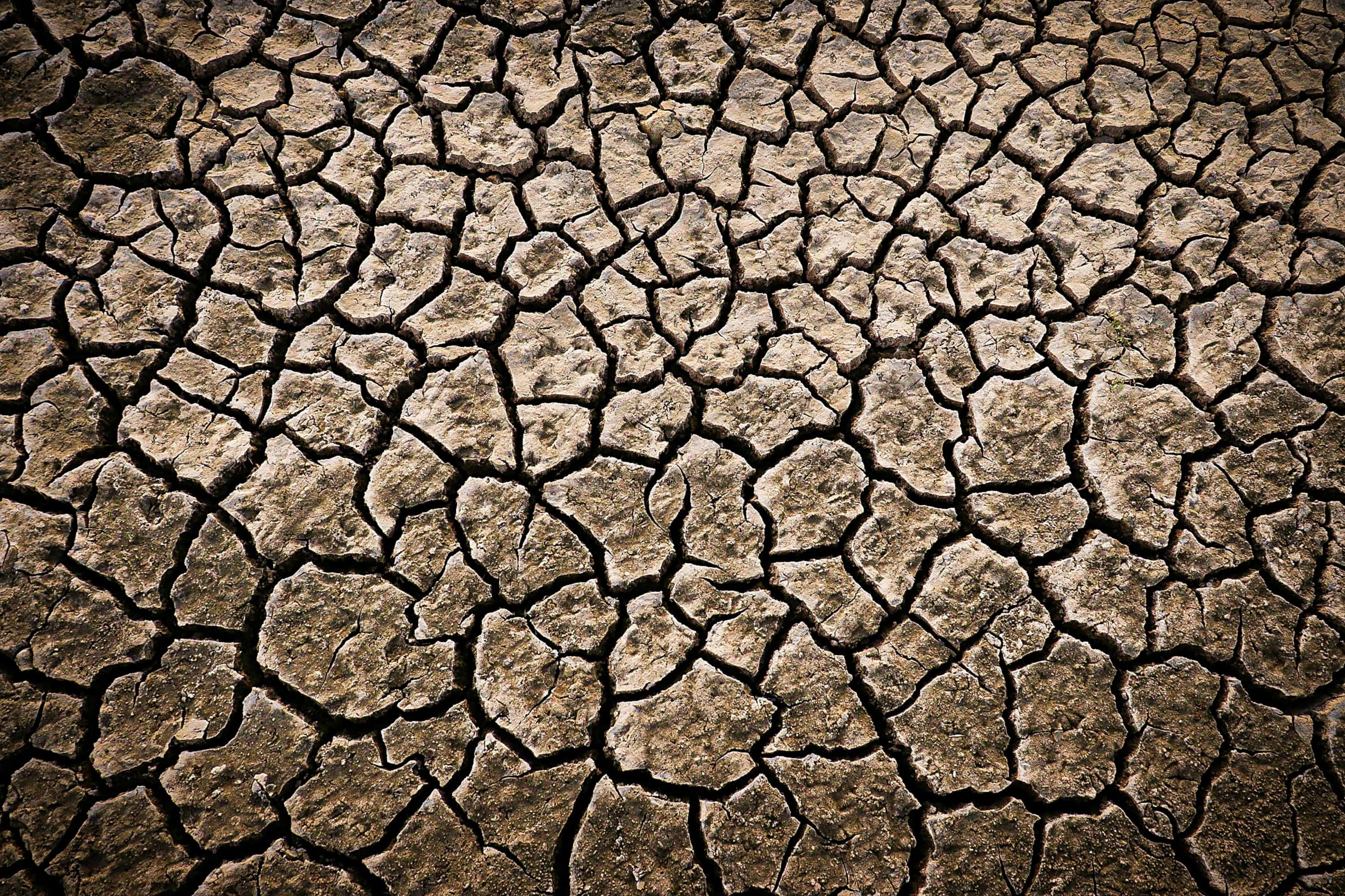 Heatwaves Are Fast Becoming the Deadliest Weather Threat: Why Every Industry Needs a Resilience Plan
